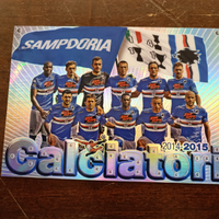 Squadra Sampdoria 2014/15 Calciatori Panini