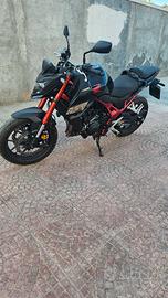 Honda Hornet 750