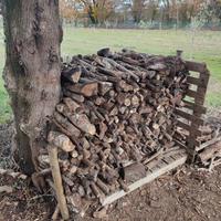 Legna per camino o stufa