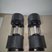 Manubri regolabili 2-32 kg LACERTOSUS