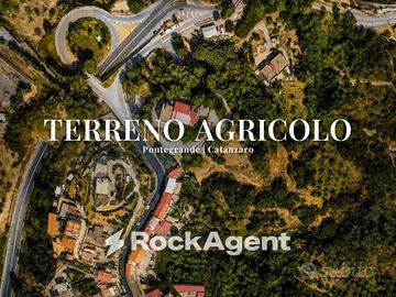 Terreno di 13724 m² a Catanzaro