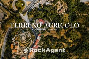 Terreno di 13724 m² a Catanzaro