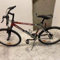 Mountain bike