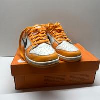 Nike Dunk Low ( Wear and Tear), condizioni perfett