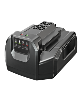 EGO POWER CH2100E CARICABATTERIE STANDARD