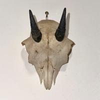 Piccolo trofeo con testa di animale