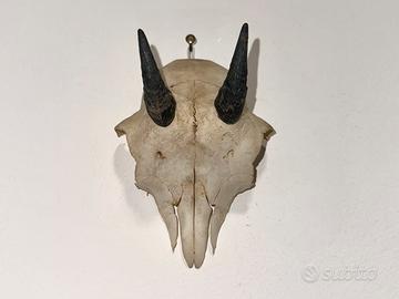 Piccolo trofeo con testa di animale