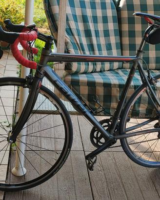 bici da corsa Alu leggero e carbonio