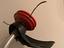 Immagine 2
