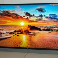 SMART TV LED LG 49 pollici UltraHD 4K HDR