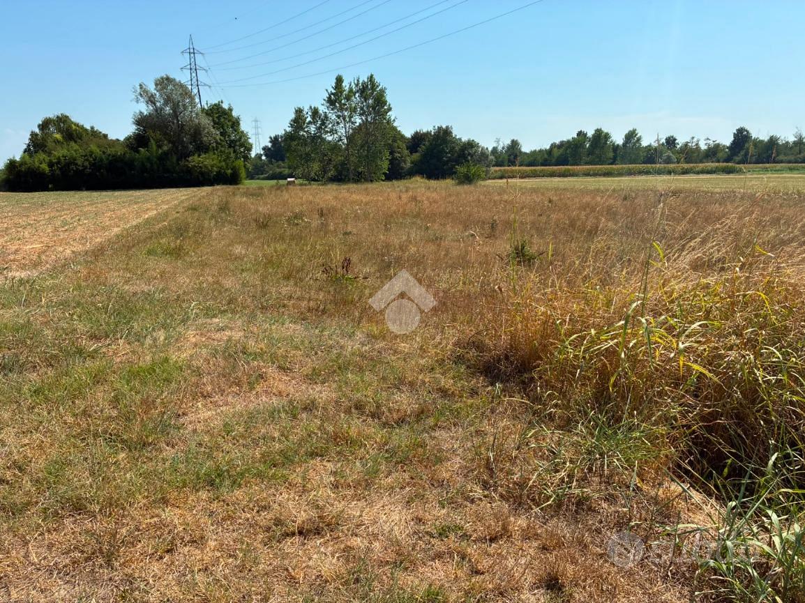 TER. AGRICOLO A CORBETTA - Vista 2