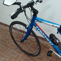bicicletta Torpado 54