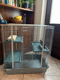 Vendi gabbia per cincilla