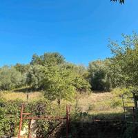 Terreno più fabbricato