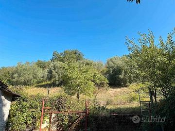 Terreno più fabbricato