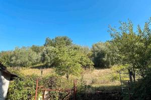 Terreno più fabbricato