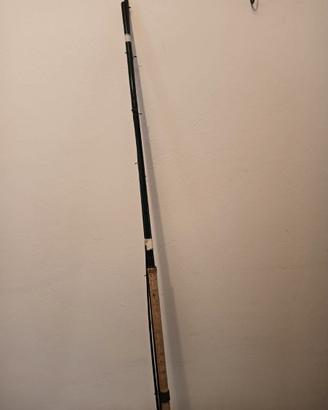 CANNA PESCA INGLESE BROWNING