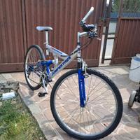 Mountain bike