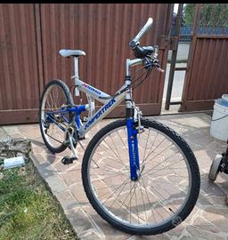 Mountain bike