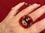 Immagine 5