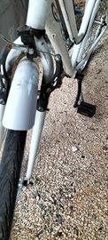 bicicletta da donna 