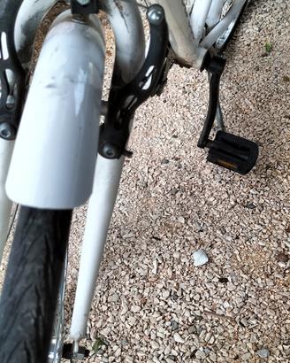 bicicletta da donna 