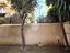 Immagine 12