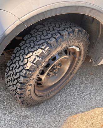 Gomme Ziarelli Cruiser