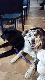 Due sorelle bisognose di una nuova casa