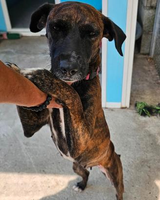 Penelope: solo 8 kg. 4 anni