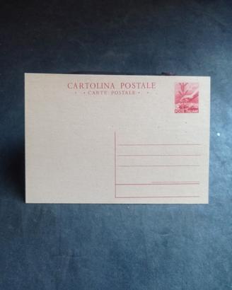 CARTOLINA  POSTALE "DEMOCRATICA"•FIL. C132 LIRE 10