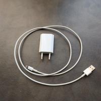 Caricatore Apple E Samsung