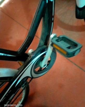 Bici elettrica