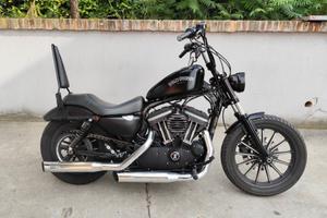 Harley-davidson 883 Iron