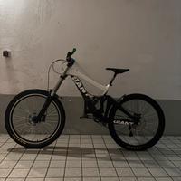 Giant dh