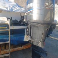 Motore yamaha 250 cv 4t leggi bene