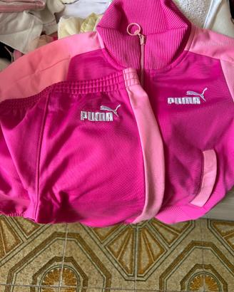 Tuta puma