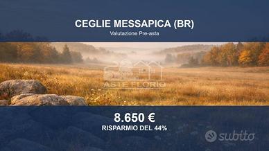 Immobile in asta di 2121 m² a Ceglie Messapica