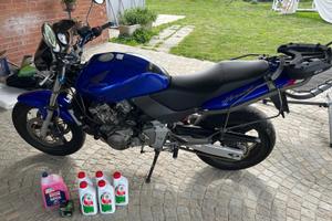 Honda Hornet 2002 95cv