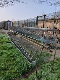 Gabbie per conigli da ingrasso usate