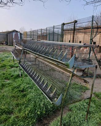Gabbie per conigli da ingrasso usate