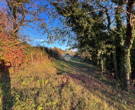 TER. AGRICOLO A ROCCA PRIORA