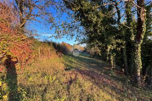 TER. AGRICOLO A ROCCA PRIORA