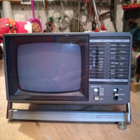 Televisore con radio