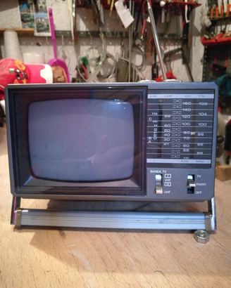 Televisore con radio
