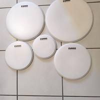 Pelli Uv2 e G1 Evans coated