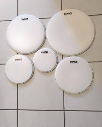 Pelli Uv2 e G1 Evans coated
