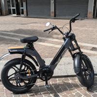 bicicletta elettrica 