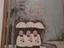 Immagine 3