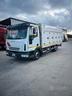 eurocargo-65-trasporto-gelati-40-con-atp